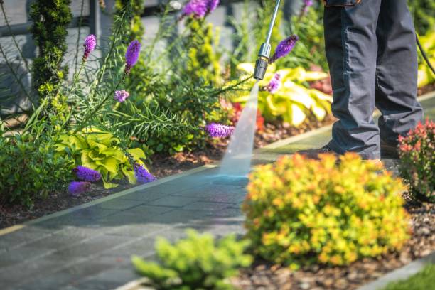 Hayti, PA Pressure Washing Services Company